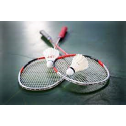 Athletic Teams Donations - Badminton Product Image